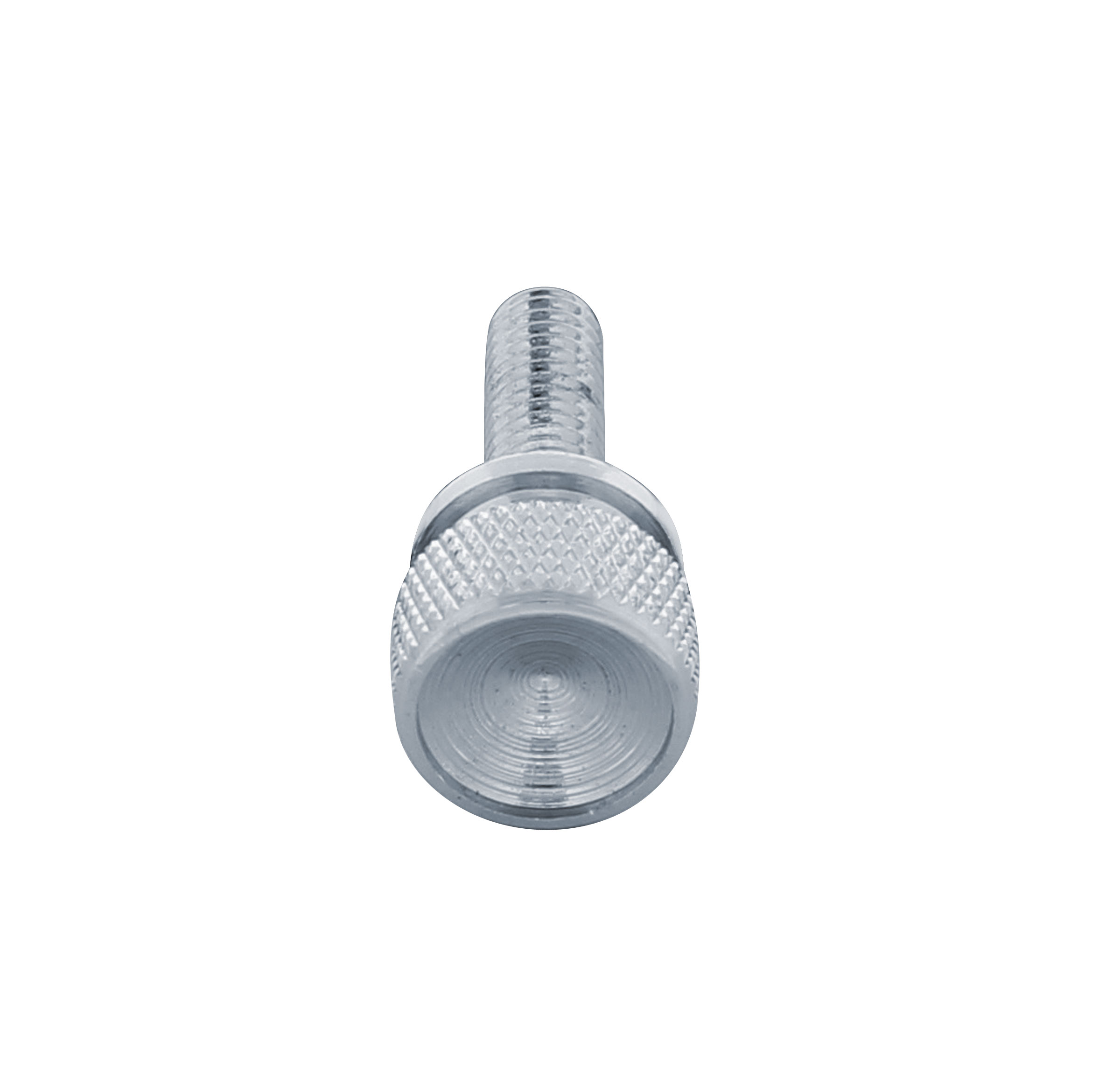 Chrome Kenworth Dash Short Screws - Indented