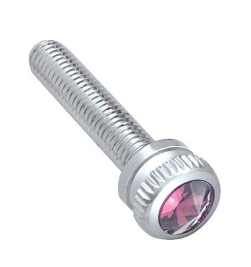 Chrome 2002 Kenworth Dash Screw W/ Diamond - Purple