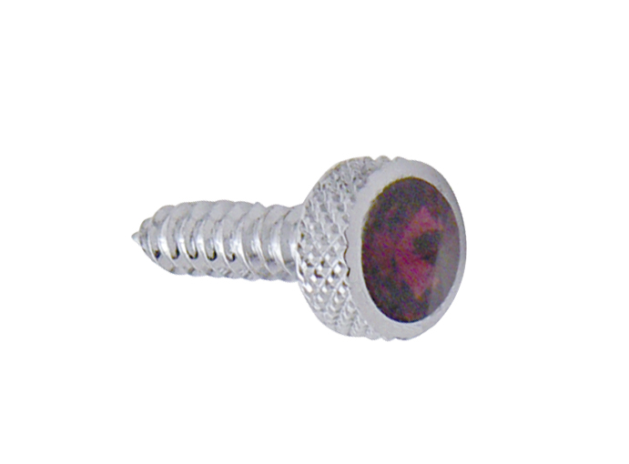 (6/Card) Chrome Kenworth Upper Dash Screw W/ Diamond - Purple