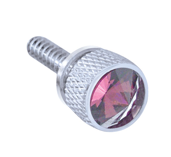 Chrome 2007+ Freightliner Cascadia Dash Screw W/ D