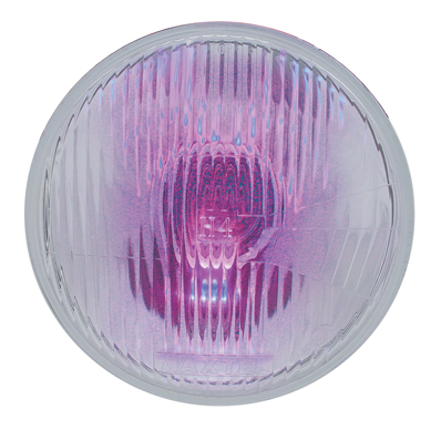 *Closeout* 7" Headlight W/ 10Mm Led Accent Light *Closeout* (High & Low Beam) - Purple