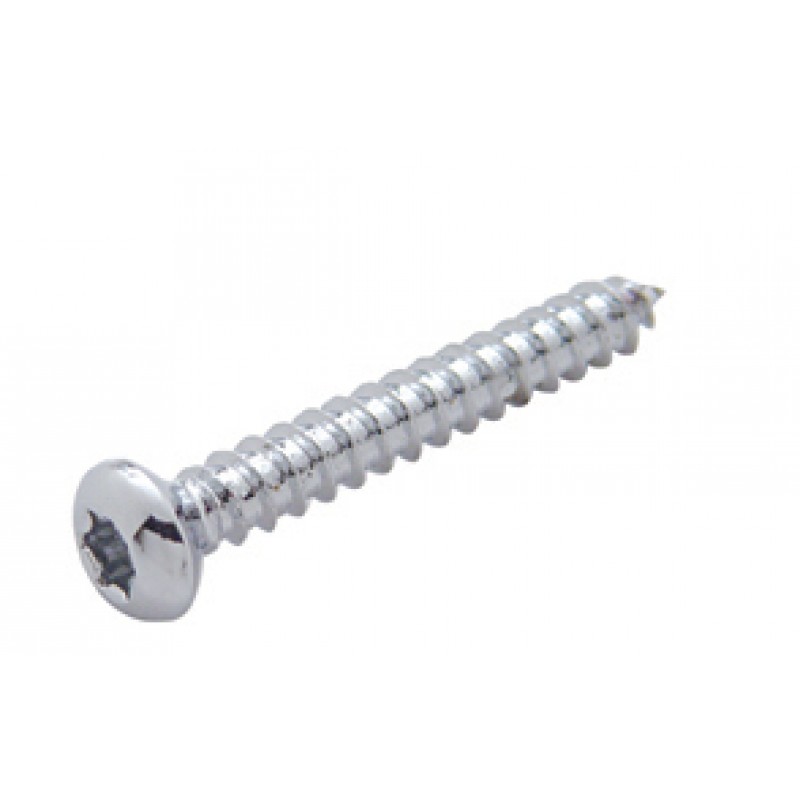 Chrome Stainless Steel Kenworth Speaker Cover Mounting Screw