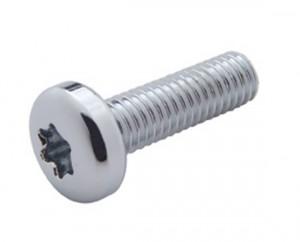 (12/Card) Chrome Kenworth Oem Dash Short Screw