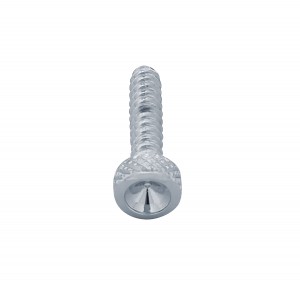 Chrome Freightliner Short Dash Screw - Indented