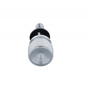 Chrome Peterbilt Dash Screw - Indented