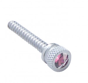 (2/Card) Chrome Freightliner Long Dash Screw W/ Di