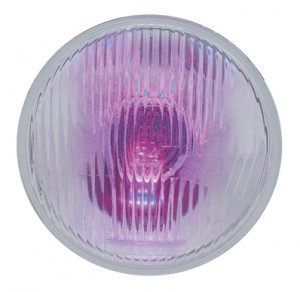 *Closeout* 7" Headlight W/ 10Mm Led Accent Light *Closeout* (High & Low Beam) - Purple