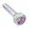 (2/Card) Chrome Freightliner Short Dash Screw W/ D