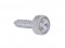 Chrome Kenworth Upper Dash Screw W/ Diamond - Clear