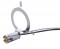 Economy City Light Pigtail & Socket Only