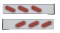 (2/Bulk) Stainless Steel 2 Pcs. Rear Lt Bar W/ 6 Slanted 12 Led Oval Red Lens Reflector Lt W/ Visor - 4 Hole Flange Mount