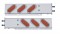 (2/Bulk) Stainless Steel Spring Loaded Rear Lt Bar W/ 6 Slanted Down 19 Red Led Oval Red Lens Lt W/ Visor - 3 3/4" B.P.