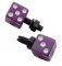 (2/Card) Dice License Plate Fastener - Purple W/ White Dot